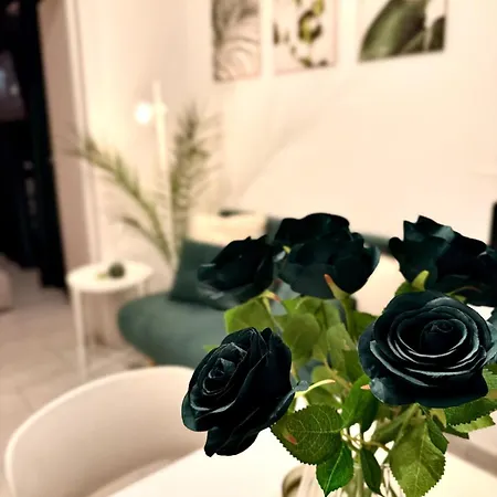 Il Corallo